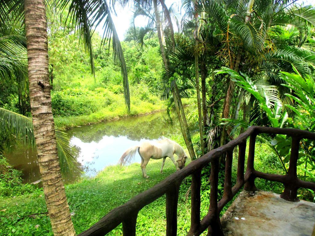 Happiness Resort Ban Khlong Haeng Esterno foto